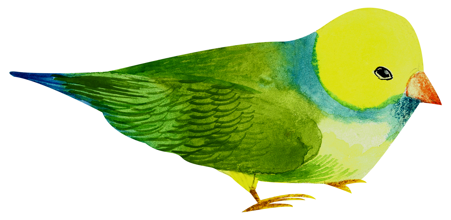 pintura de mano de acuarela de pajarito png