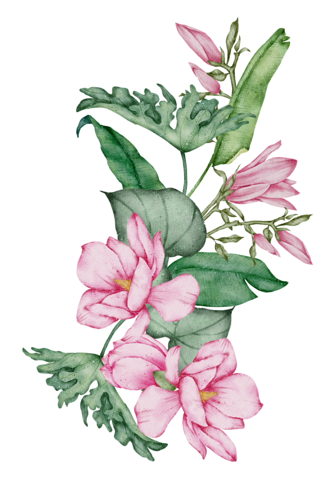 Watercolor Pink Floral Botanical png