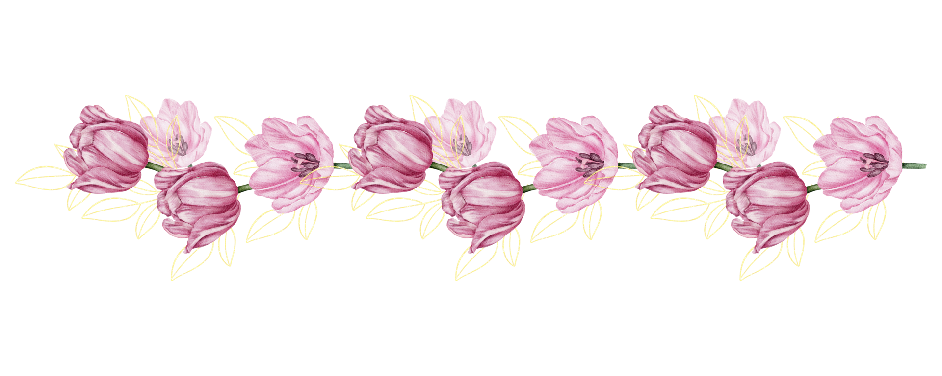 tulipa rosa botânica floral aquarela png