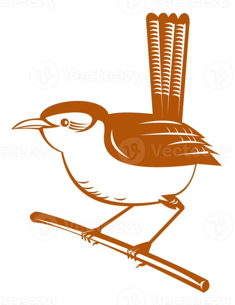 wren bird perched on branch png