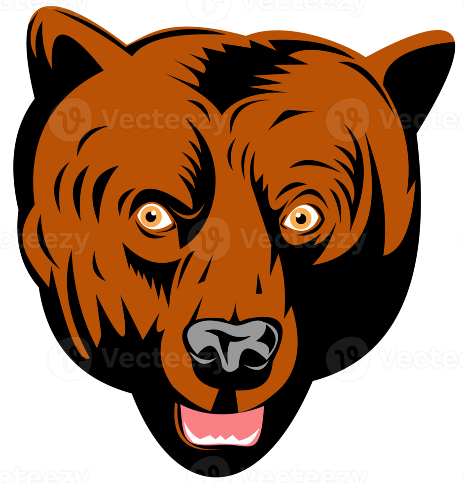 grizzly brown bear head facing front png