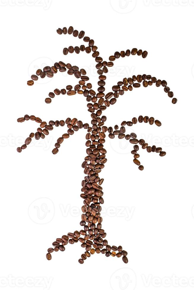 coffee beans composition photo