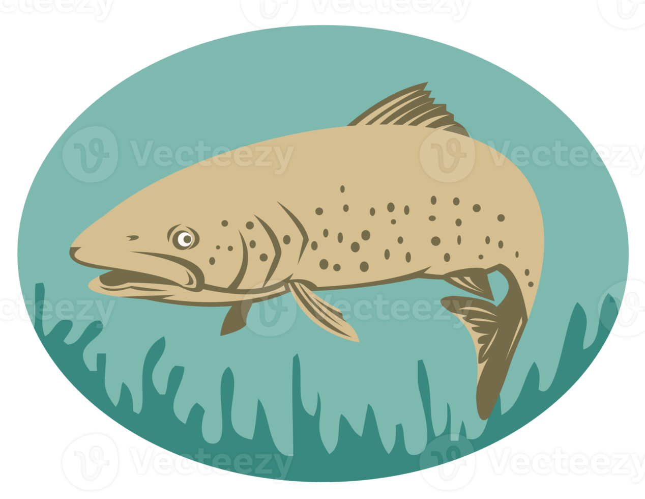 Spotted or speckled Trout swimming png