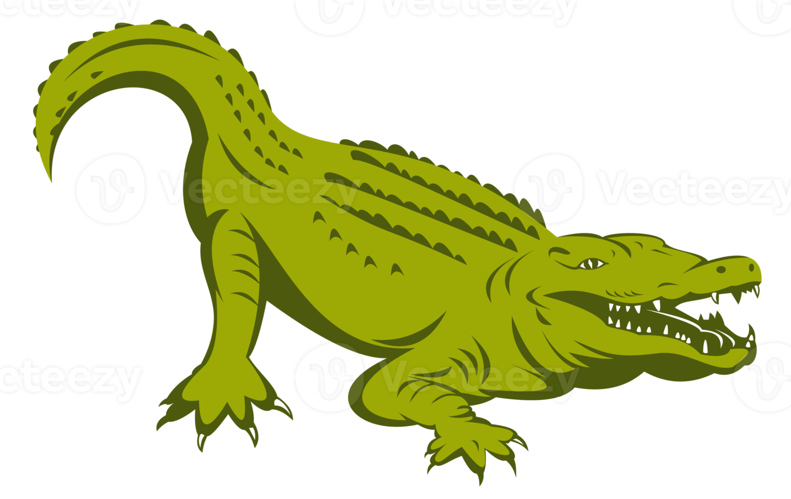 alligator crouching isolated png