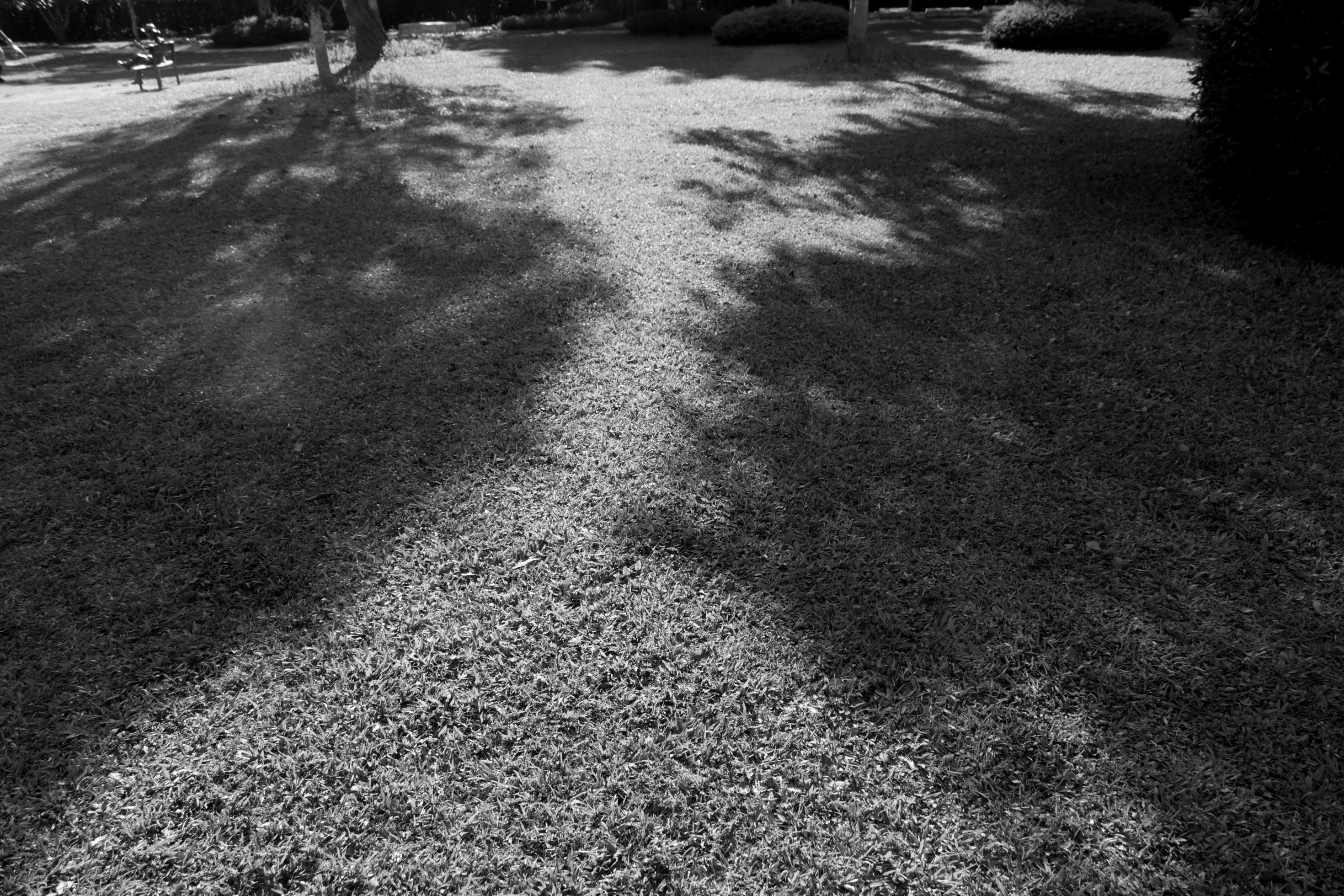 black shadow in park 13184744 Stock Photo at Vecteezy