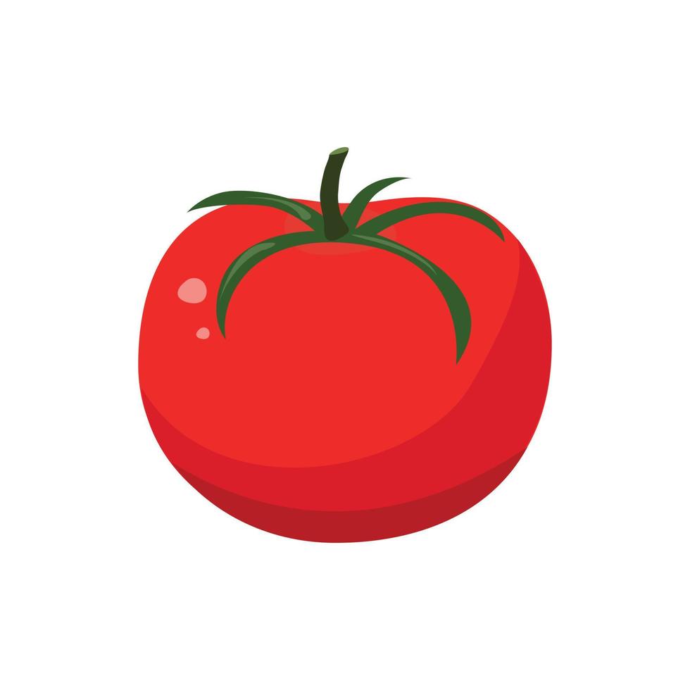 tomate rojo al estilo plano. ilustración vectorial vector
