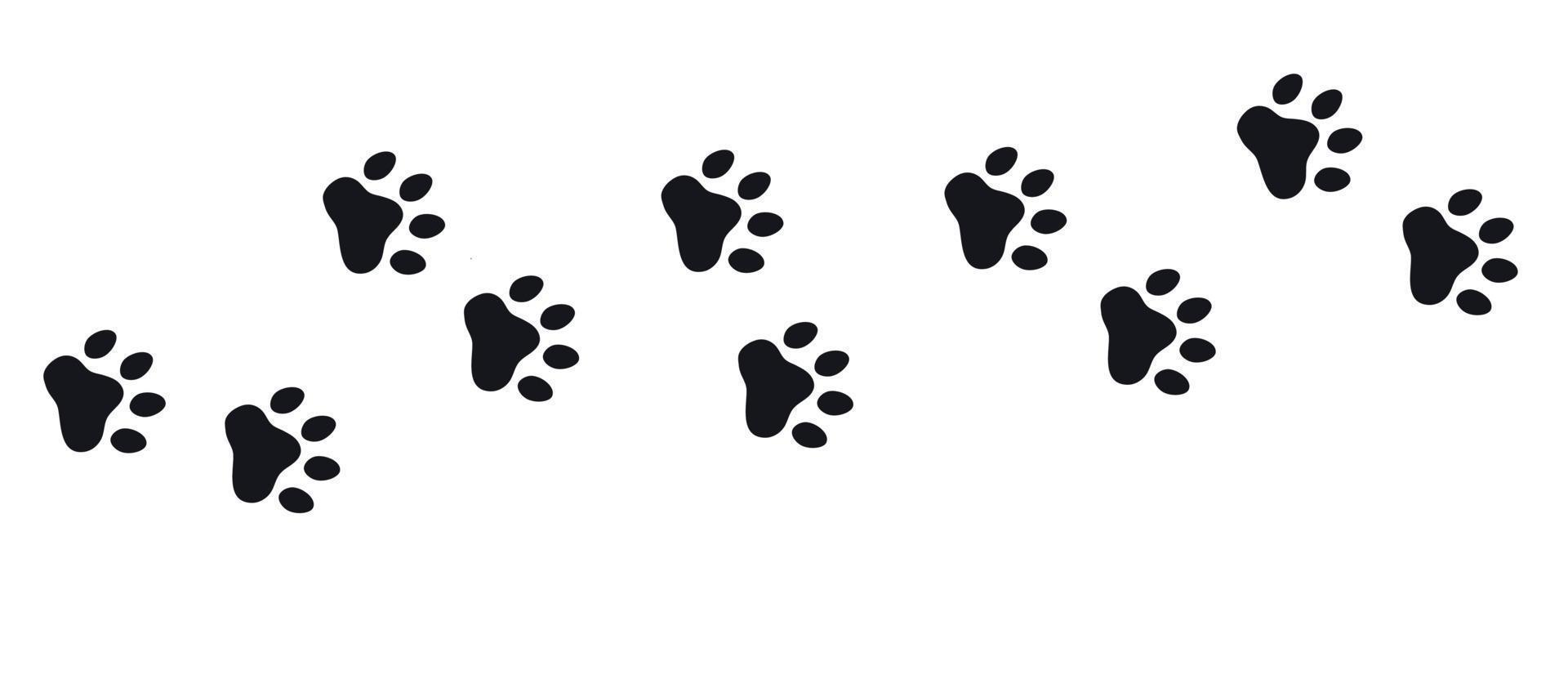 Cat dog 2025 paw print