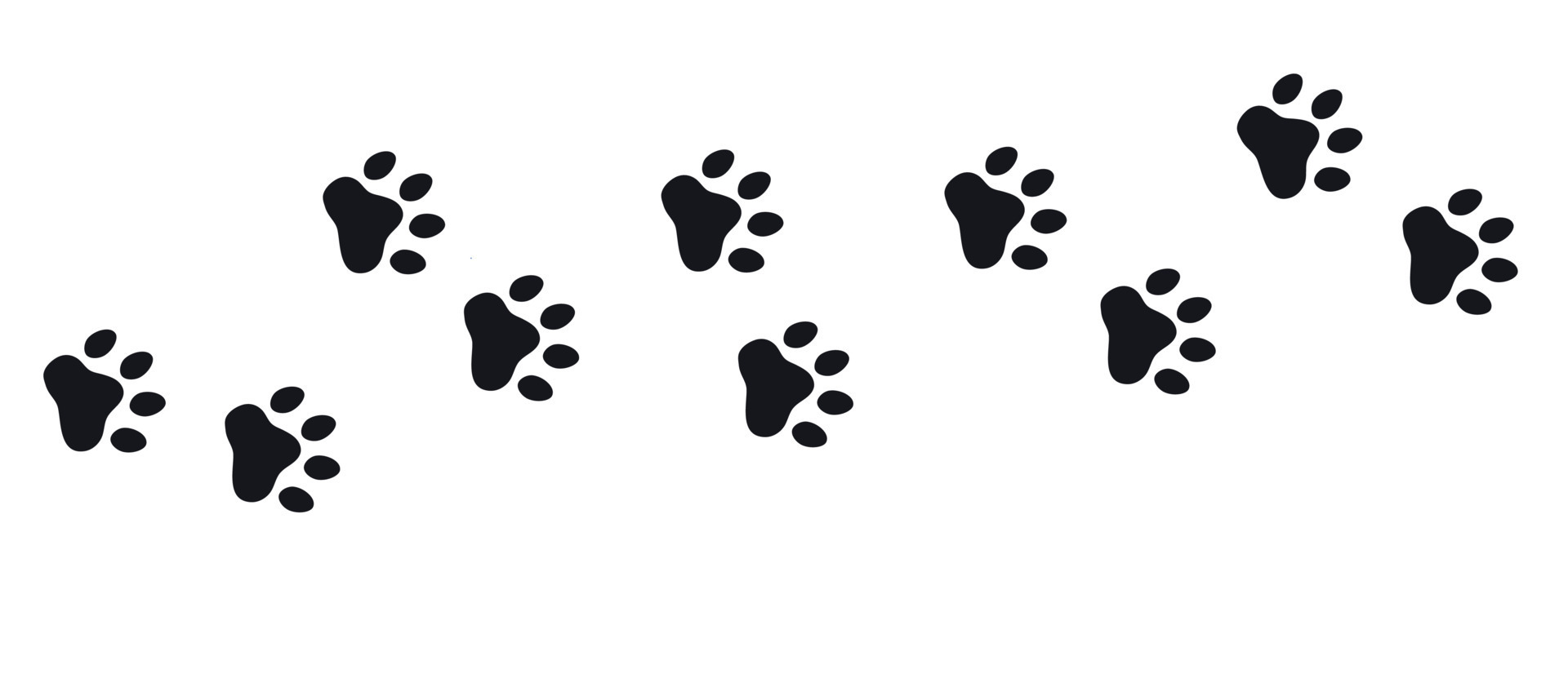 Silhouette Of Cat Paws Paw Prints The Dog And Cat Puppy Icon Traces silhouette-of-cat-paws-paw-prints-the-dog-and-cat-puppy-icon-traces
