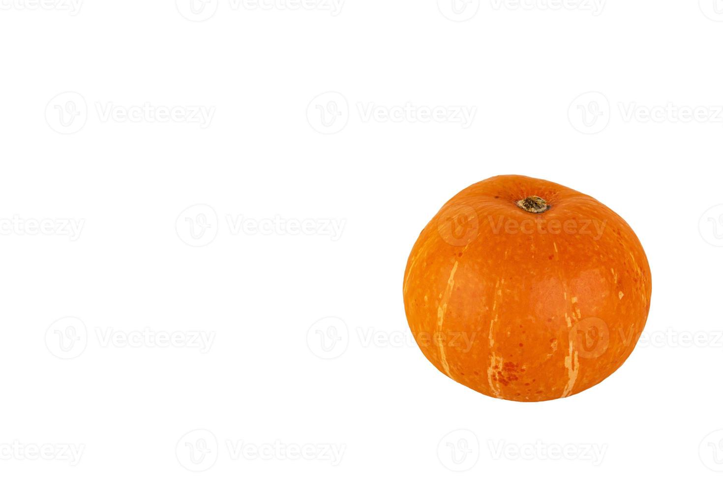Round orange pumpkin on a white isolated background. photo