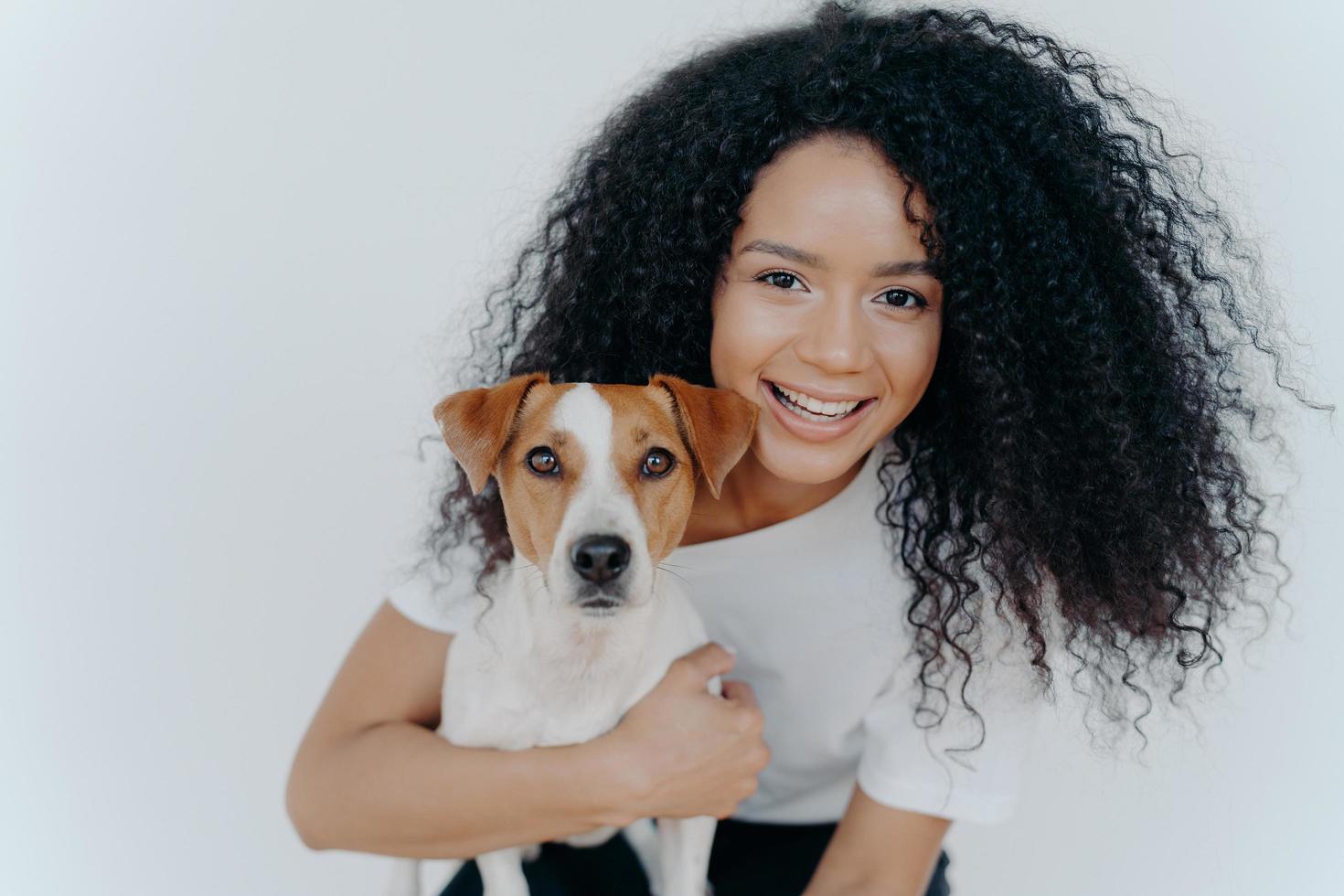 Close up shot of beautiful happy Afro woman with bushy curly hair, embraces favourite dog and have fun together at home, expresses love to jack russell terrier puppy, isolated over white background photo