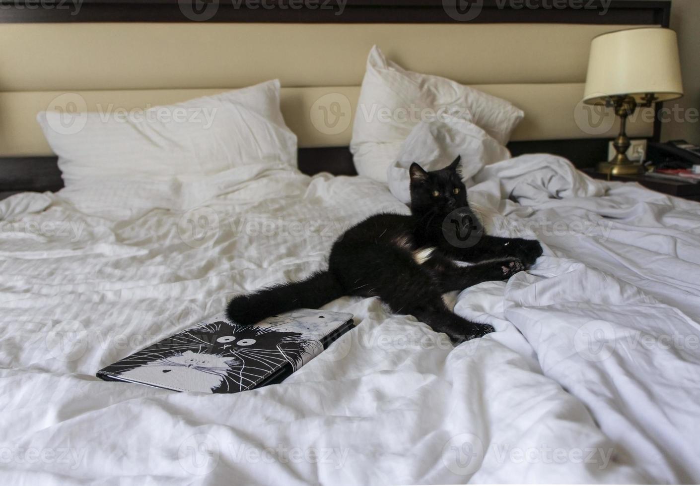 Black cat with white speck relaxedly lies on white bed in room photo