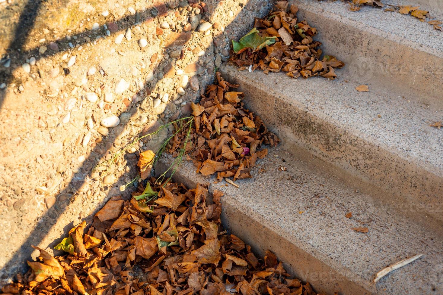 Dry fallen autumn leaves lying on a stairway photo