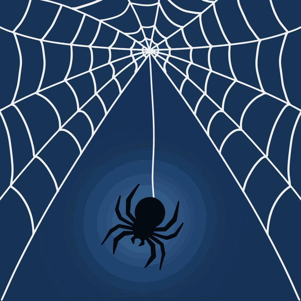 Web and spider. Illustration for halloween vector