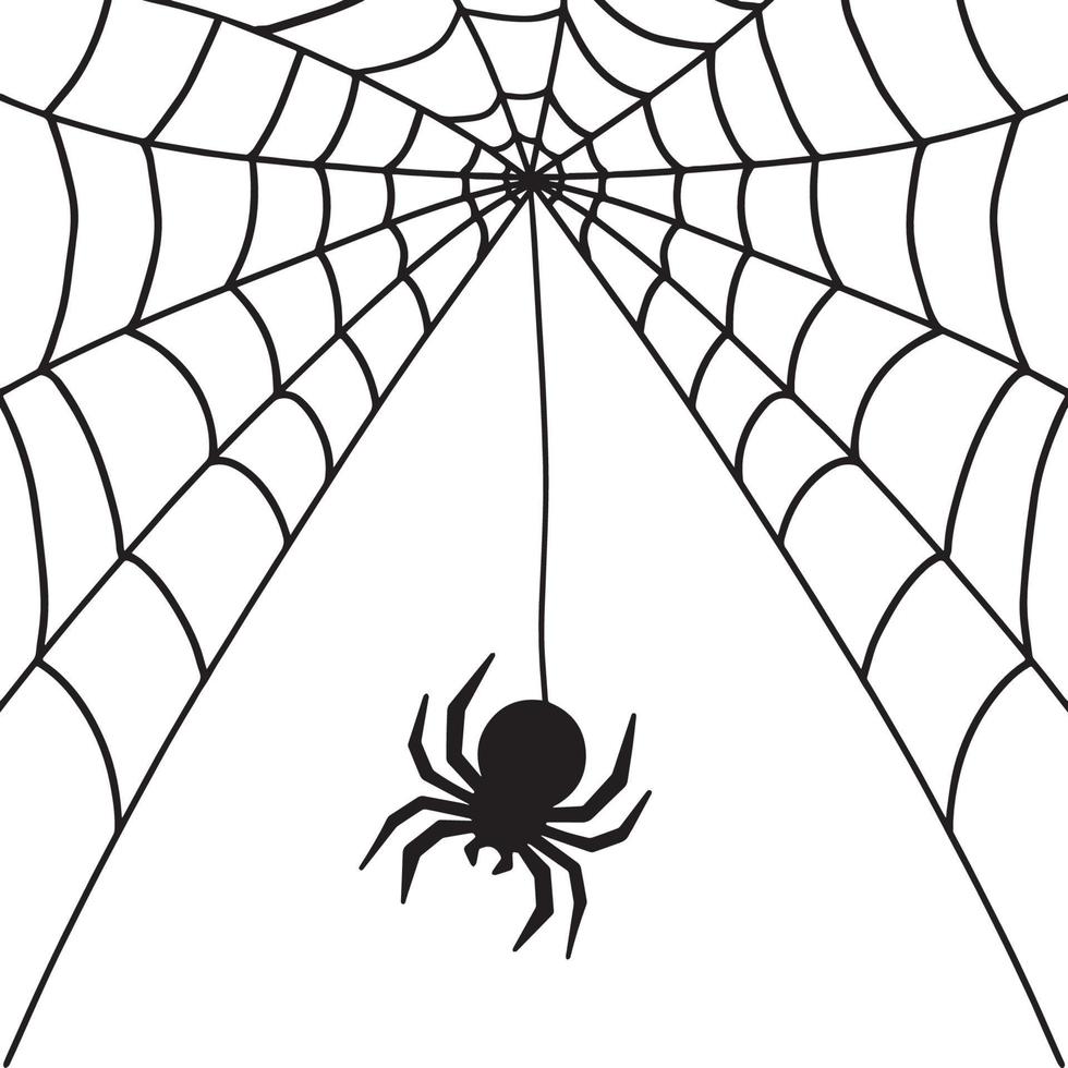 web y araña. ilustración para halloween vector