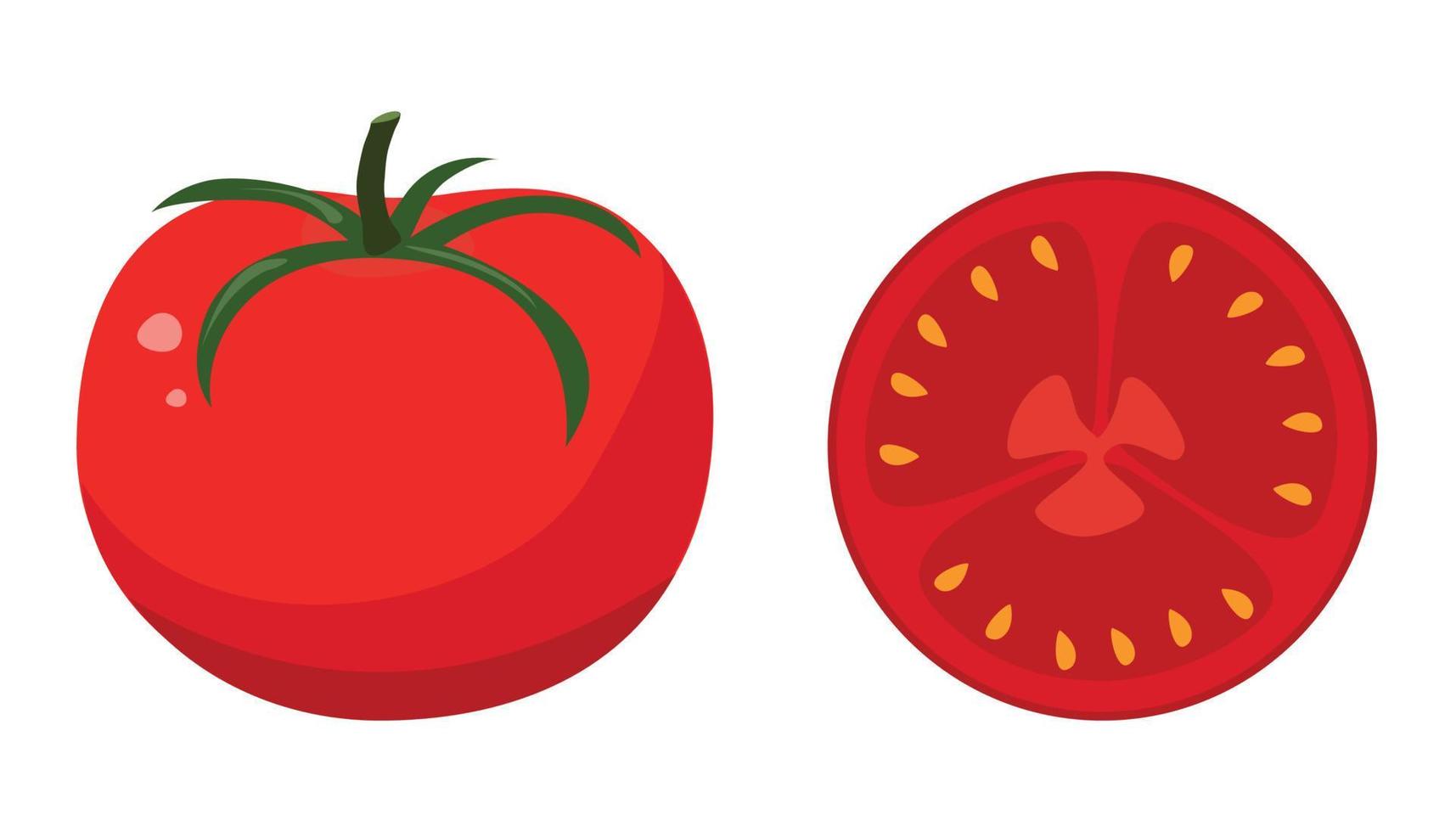 Red tomato in flat style. Vector illustration