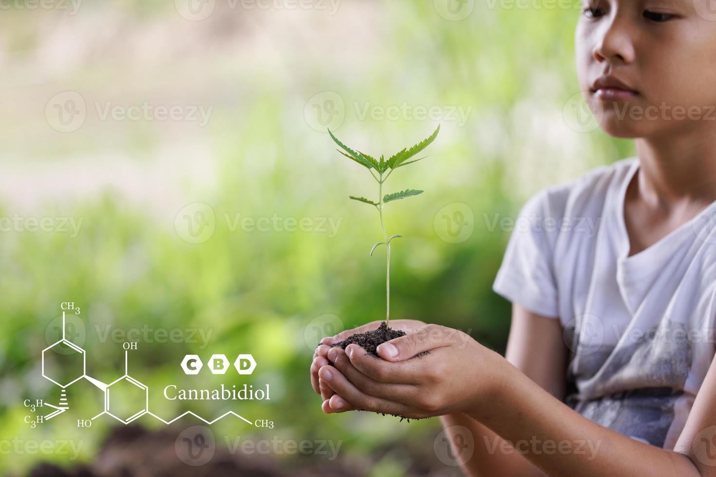 Hand holding seedlings with environment icons over the Network connection on nature background, Technology ecology concept. photo