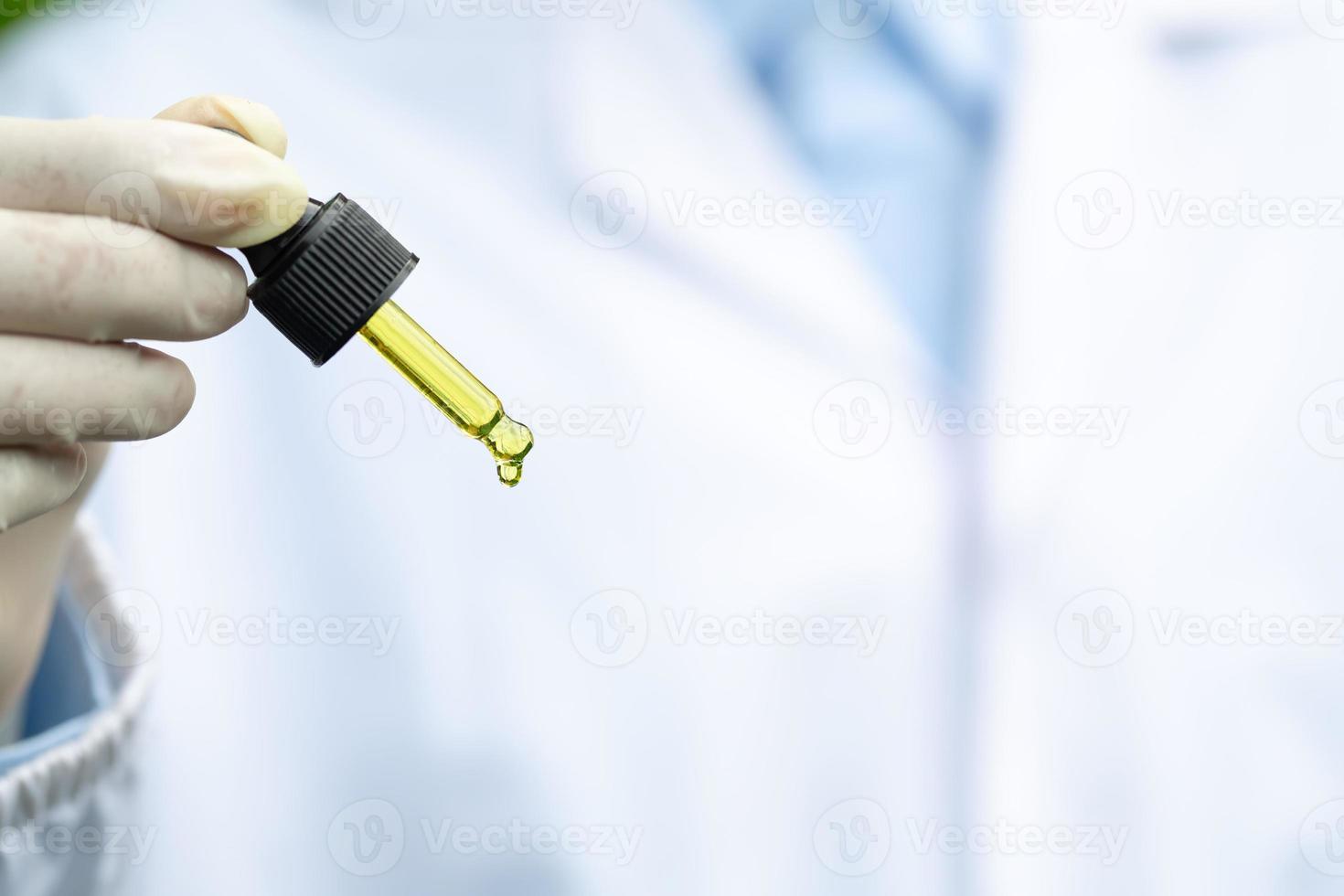 Doctor hand holding bottle of Cannabis oil against Marijuana plant, CBD hemp oil pipette. Cannabis recipe, alternative remedy or medication,  Medical marijuana, medicine concept. photo