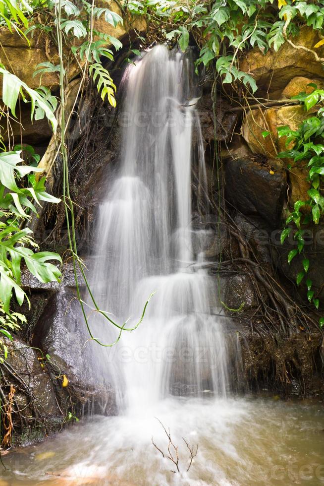 pequeña cascada en la naturaleza foto