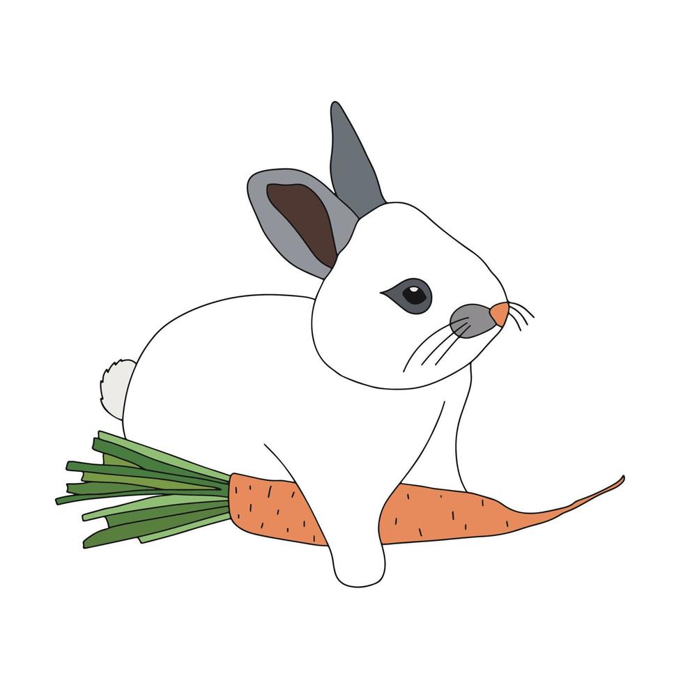 2023 año del conejo. lindo conejo con una zanahoria. símbolo del año nuevo chino. ilustración vectorial aislado sobre fondo blanco vector
