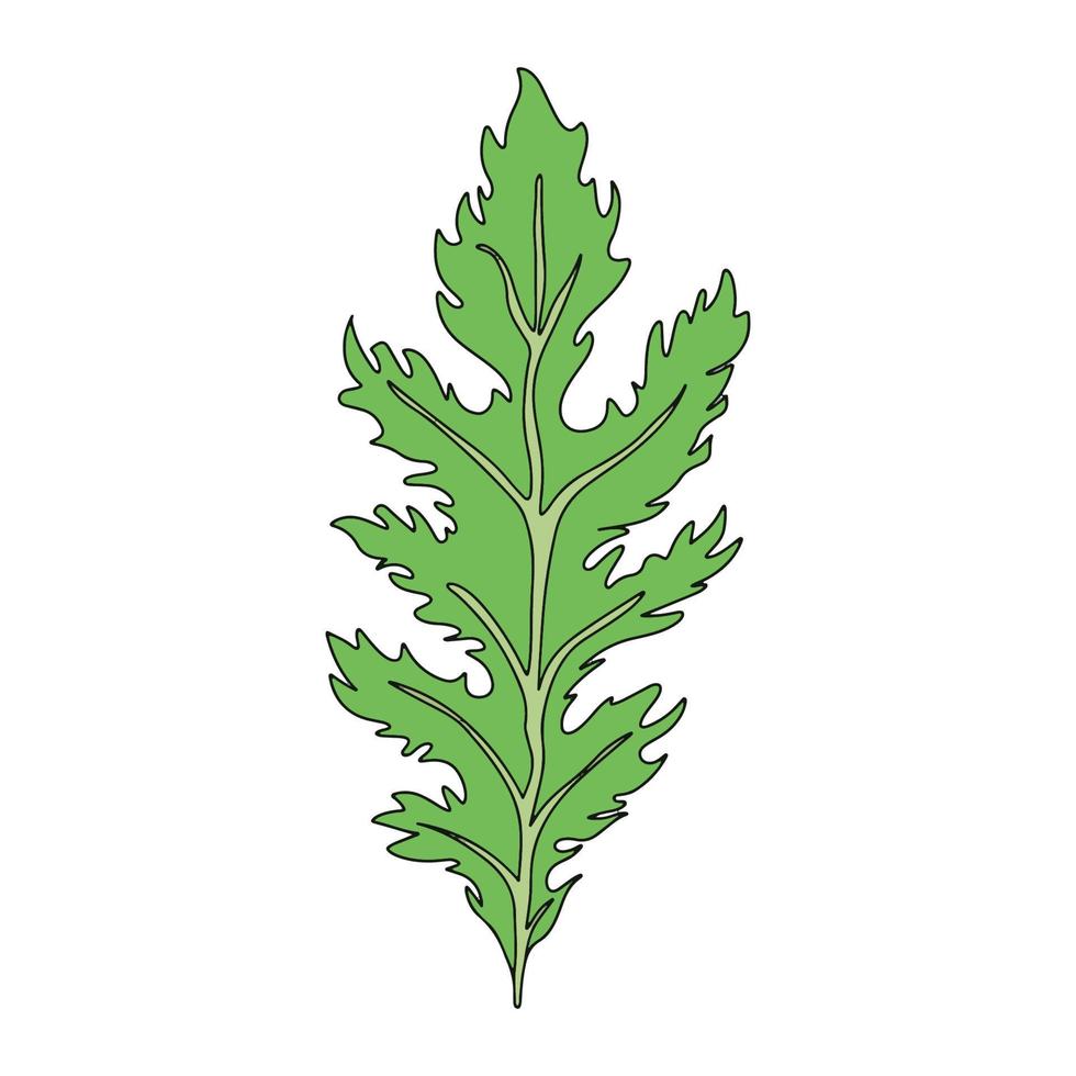 Mizuna lettuce green leaves. Japanese mustard greens vector illustration