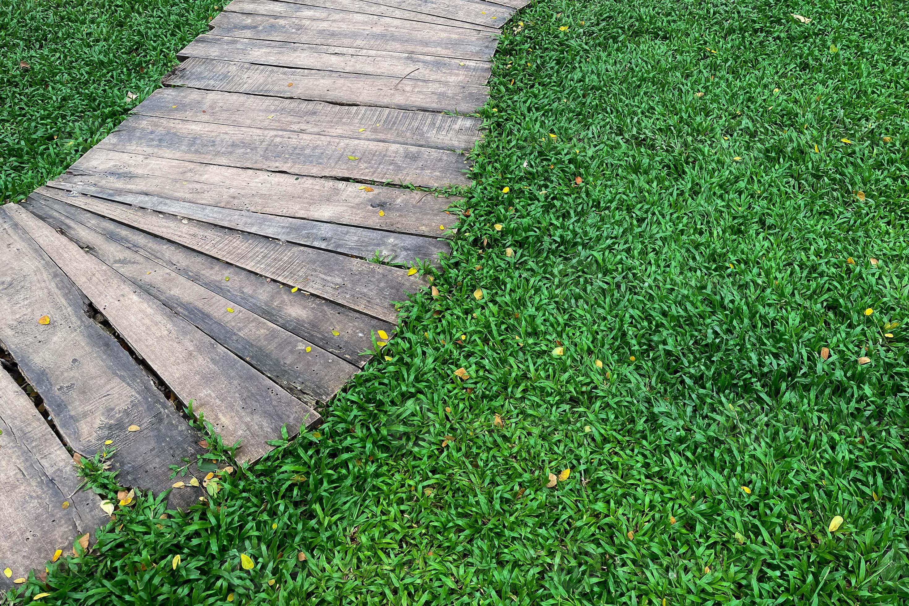 Top view wooden walkway in the garden on grass field texture background