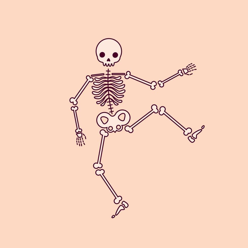 Drawing of a funny skeleton on a light background. vector