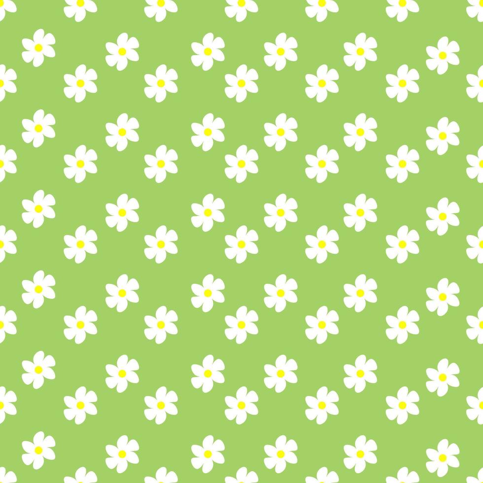 Chamomile floral seamless pattern on green background vector
