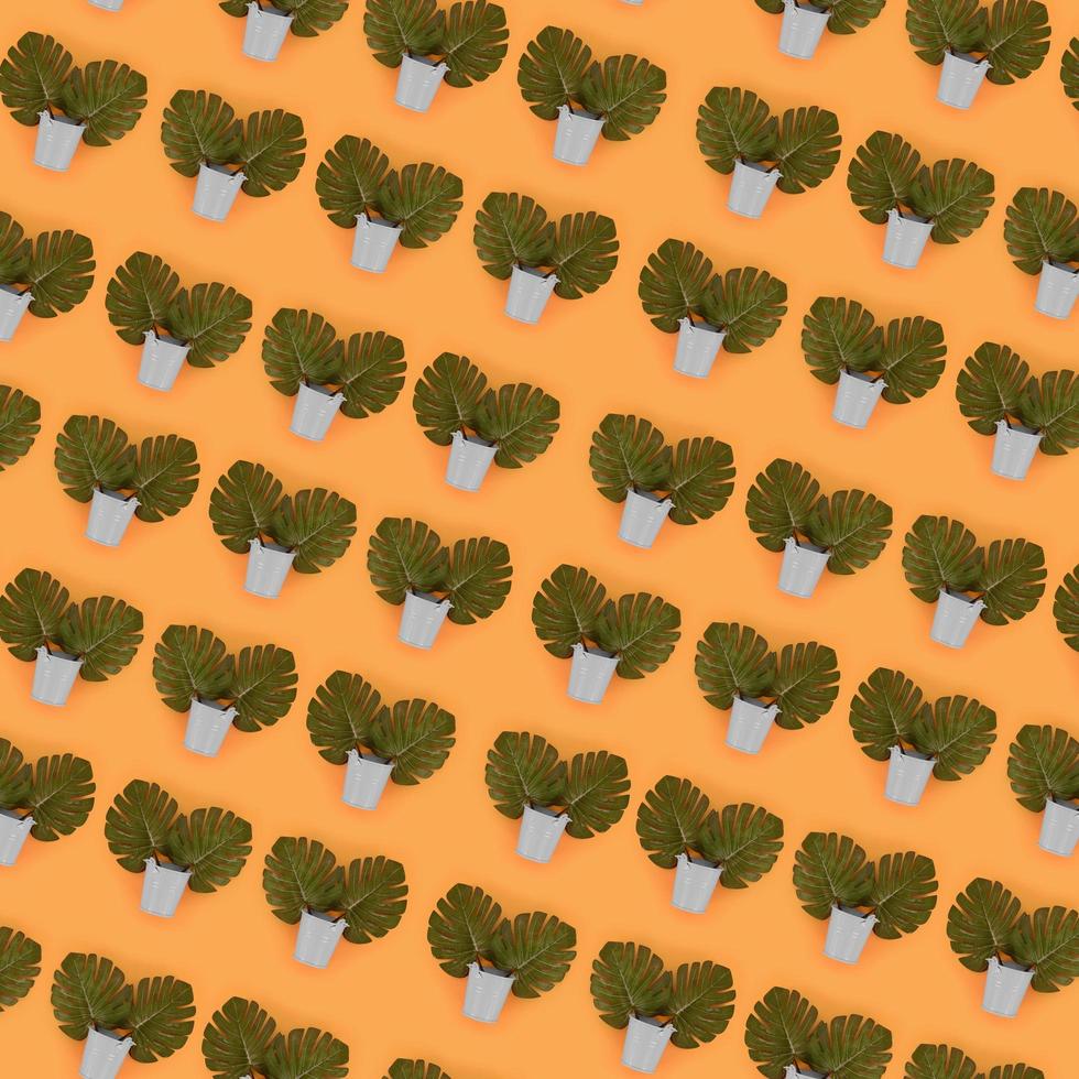 Tropical palm monstera leaves lies in a pastel pails on a colored background. Flat lay trendy minimal pattern. Top view photo