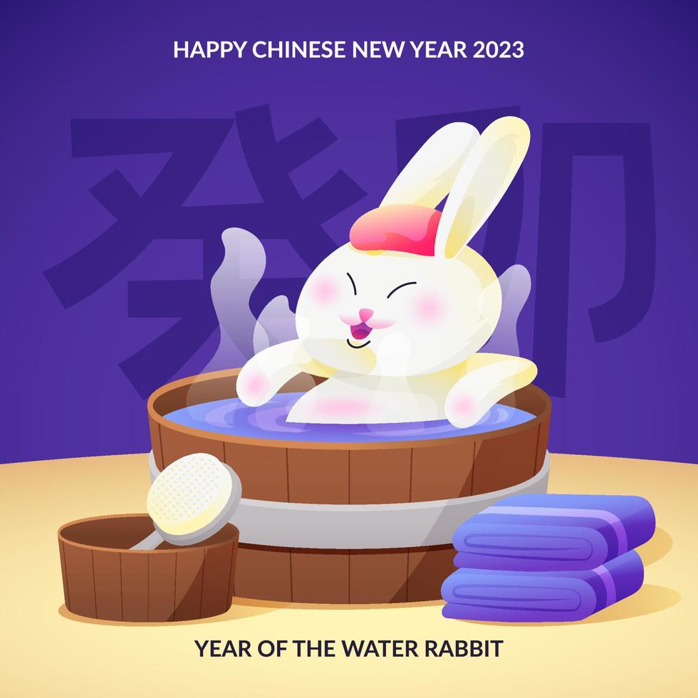 Year of The Rabbit Concept vector