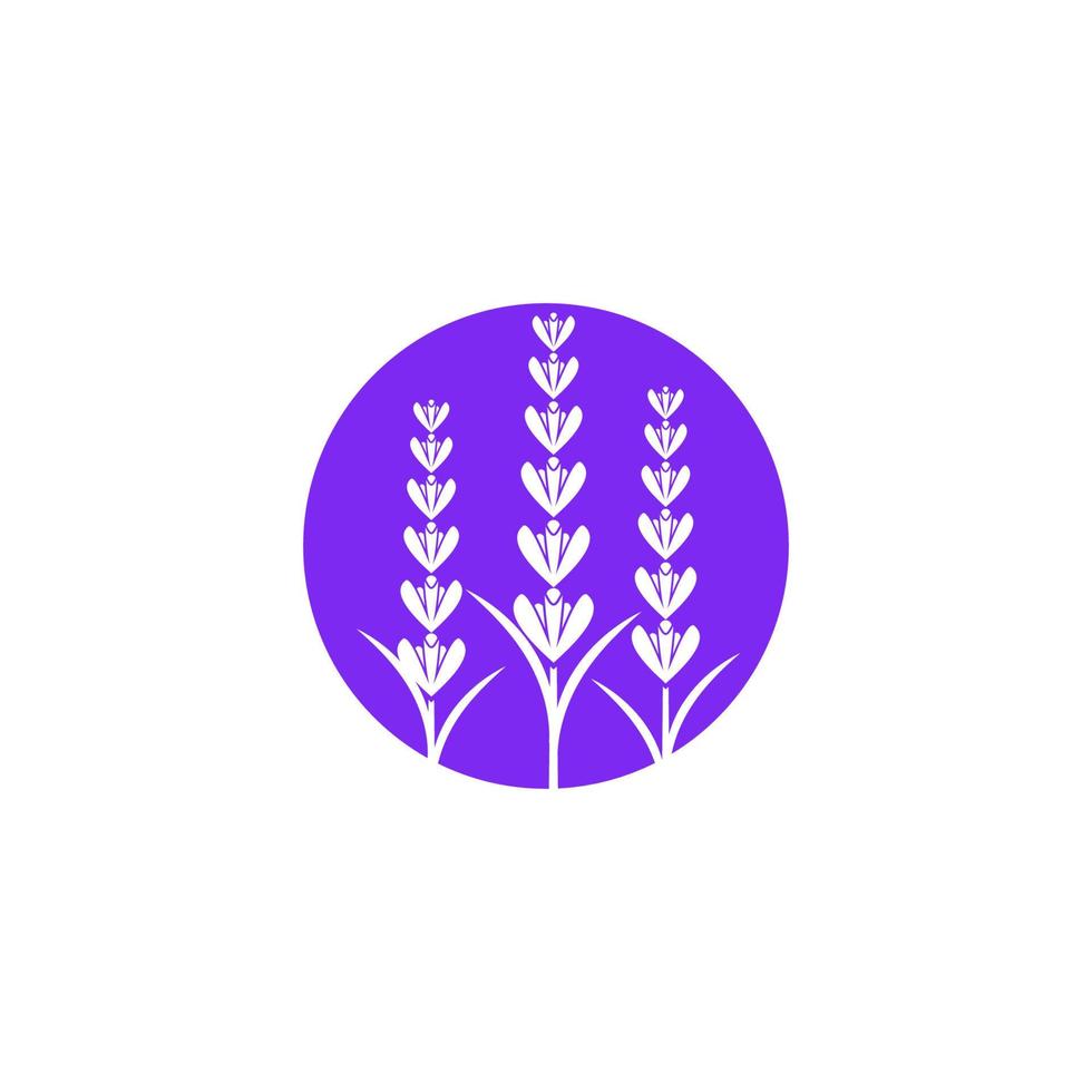 ilustración de icono de vector de flor de lavanda