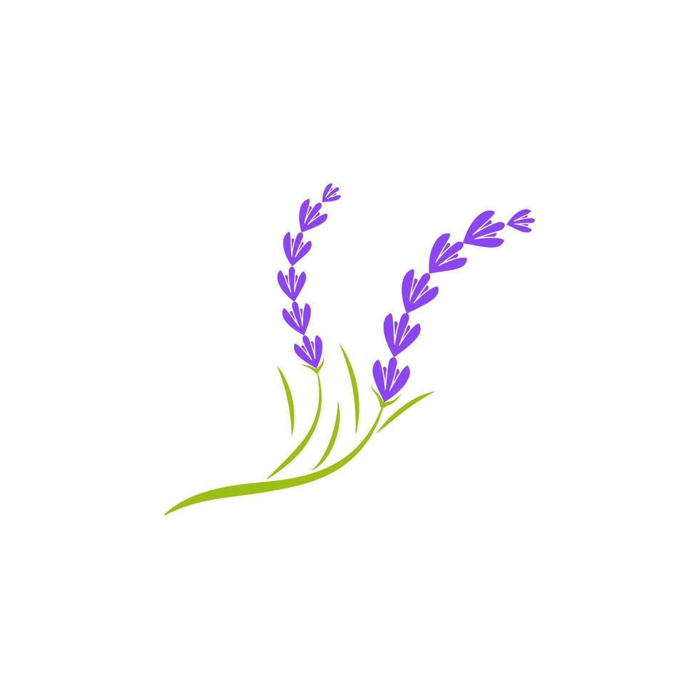 ilustración de icono de vector de flor de lavanda