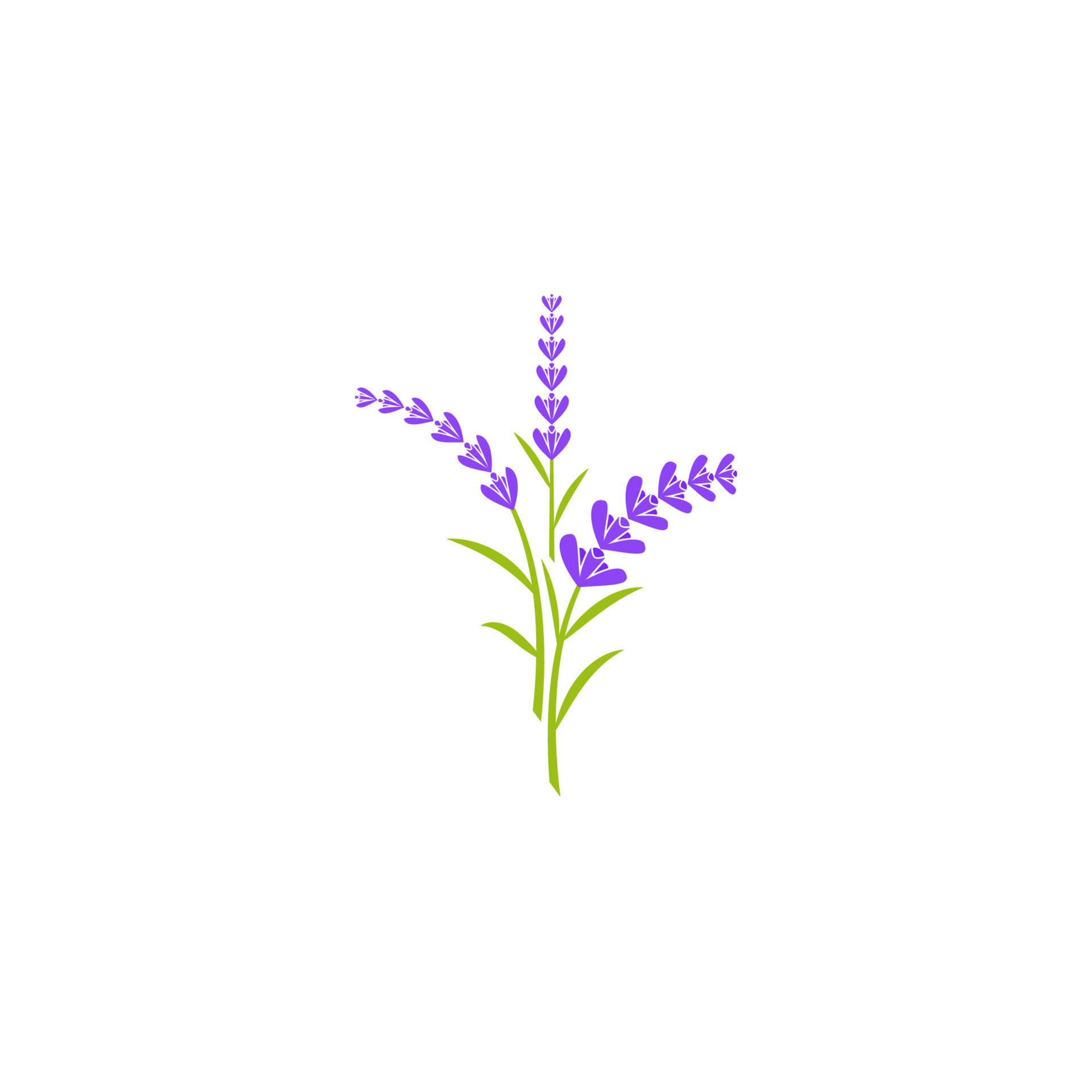 Lavender flower Vector icon illustration 13195855 Vector Art at Vecteezy