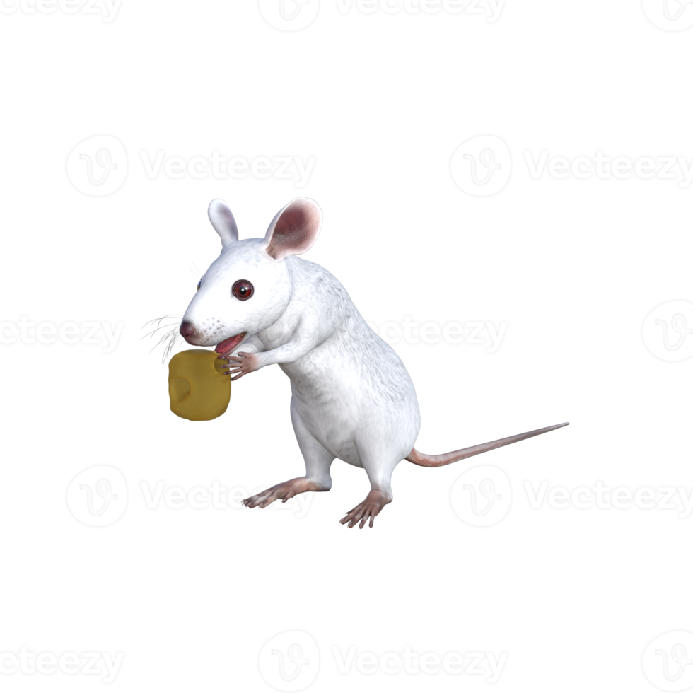 renderização em 3d de rato branco png