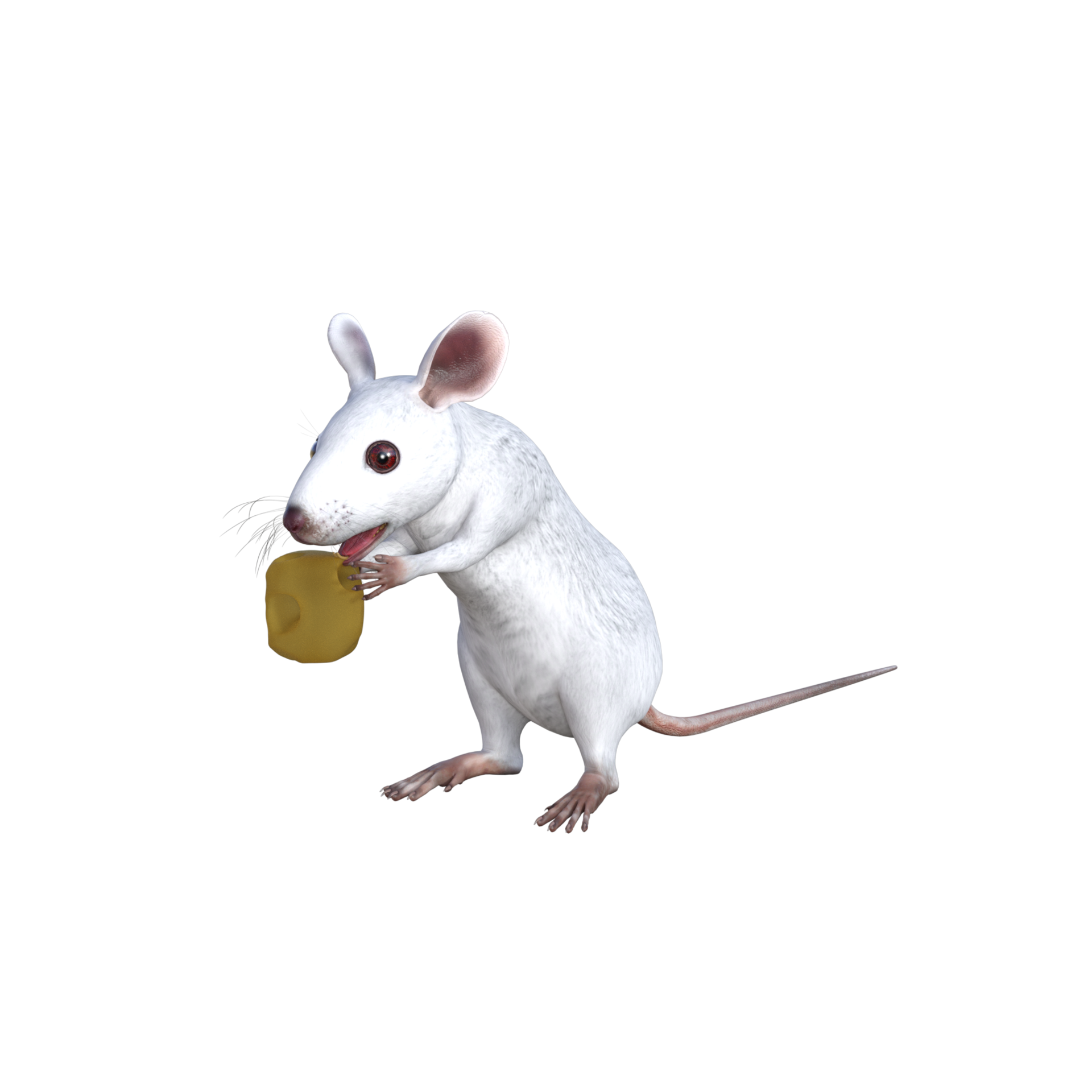 White Mouse 3d Rendering 13195861 PNG, 57 OFF