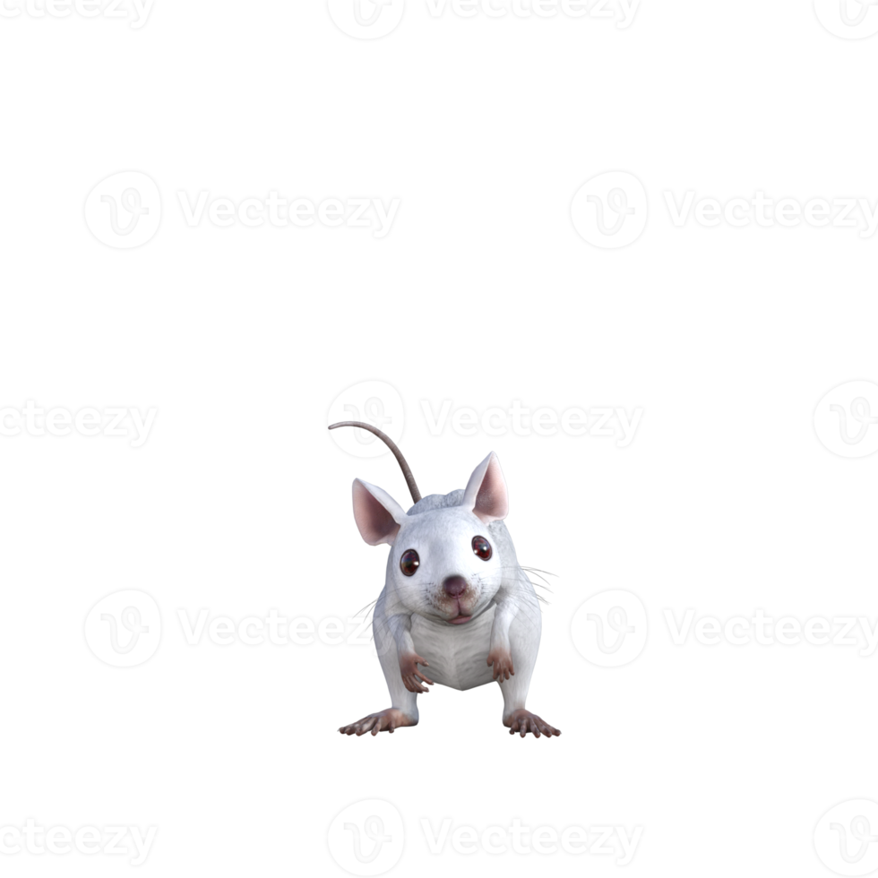 White Mouse 3d rendering png