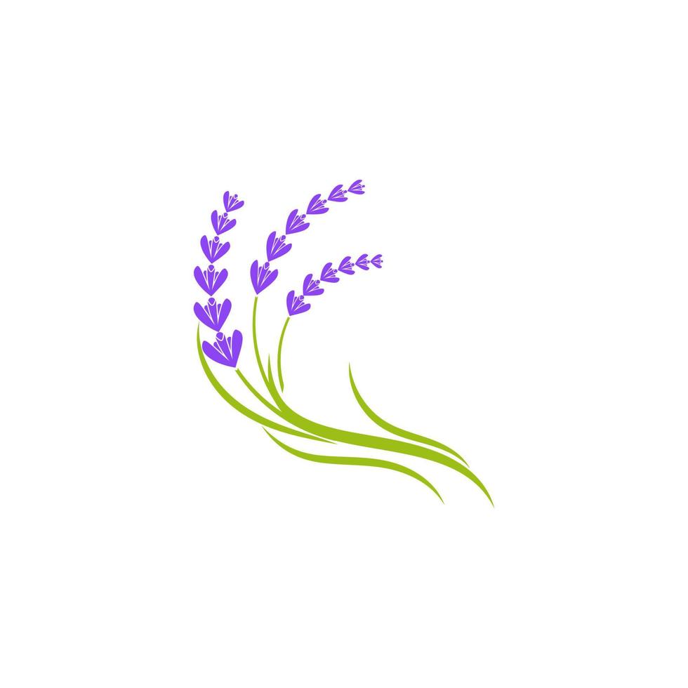 ilustración de icono de vector de flor de lavanda