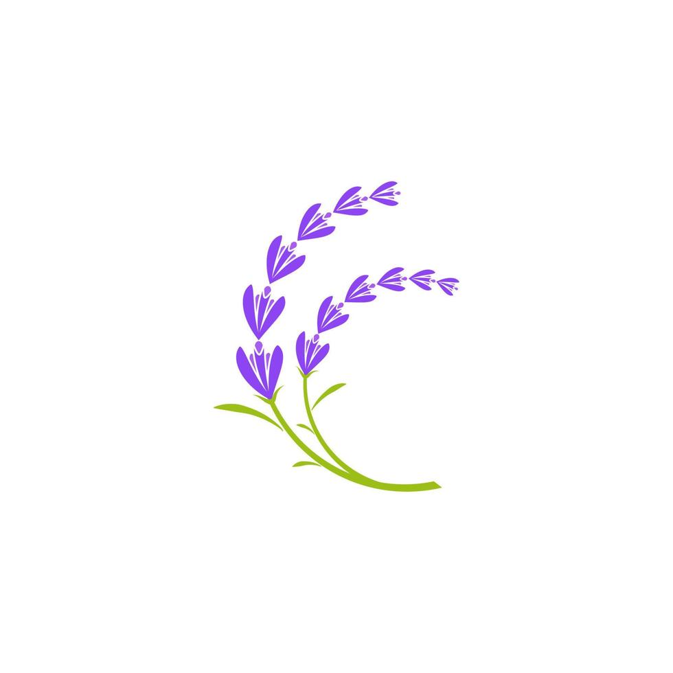 ilustración de icono de vector de flor de lavanda