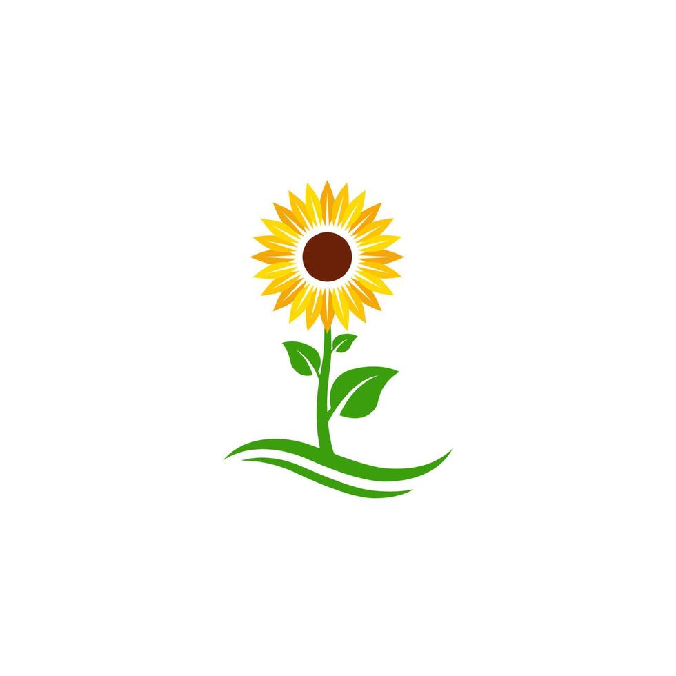 diseño de icono de vector de girasol