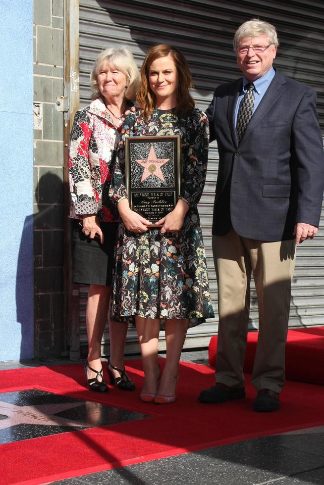 LOS ANGELES - DEC 3 - Eileen Poehler, Amy Poehler, William Poehler at the Amy Poheler Hollywood Walk of Fame Ceremony at the Hollywood Blvf on December 3, 2015 in Los Angeles, CA photo