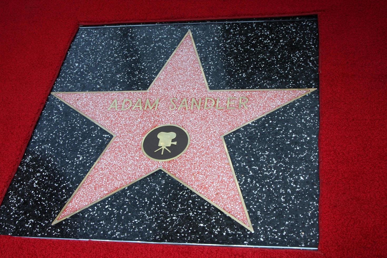 los angeles - 1 de febrero - estrella de adam sandler en la ceremonia de la estrella del paseo de la fama de hollywood de adam sandler en el hotel w el 1 de febrero de 2011 en hollywood, ca foto