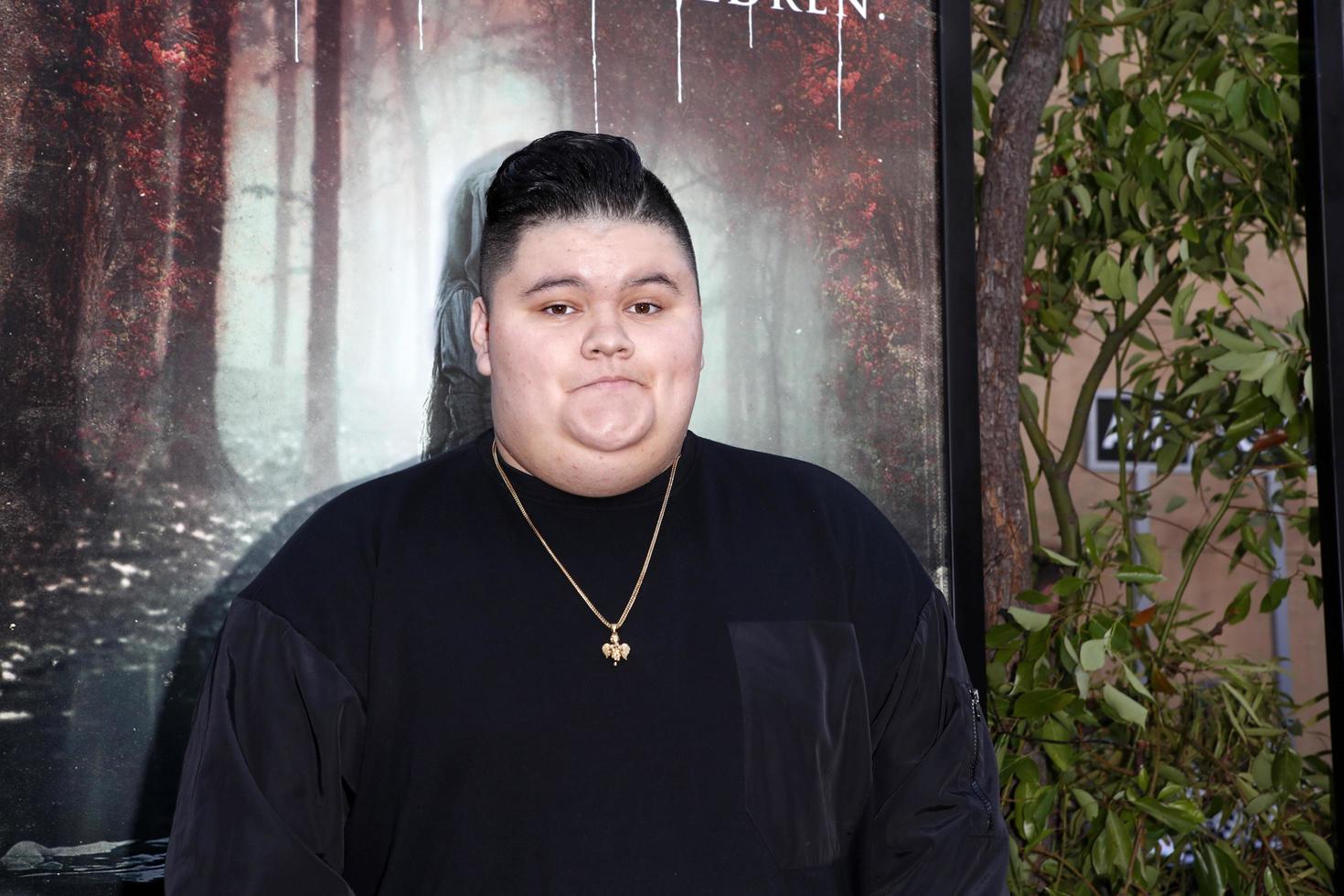 LOS ANGELES - APR 15  Jovan Armand at the The Curse Of La Llorona Premiere at the Egyptian Theater on April 15, 2019 in Los Angeles, CA photo