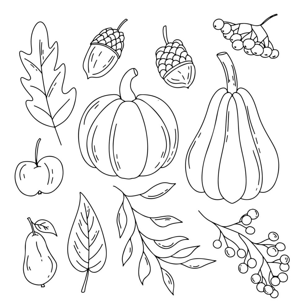 Autumn harvest doodle set. Fall symbols - fallen leaves, pumpkin, apple, pear, acorn, berries. Vector drawing isolated on white background.