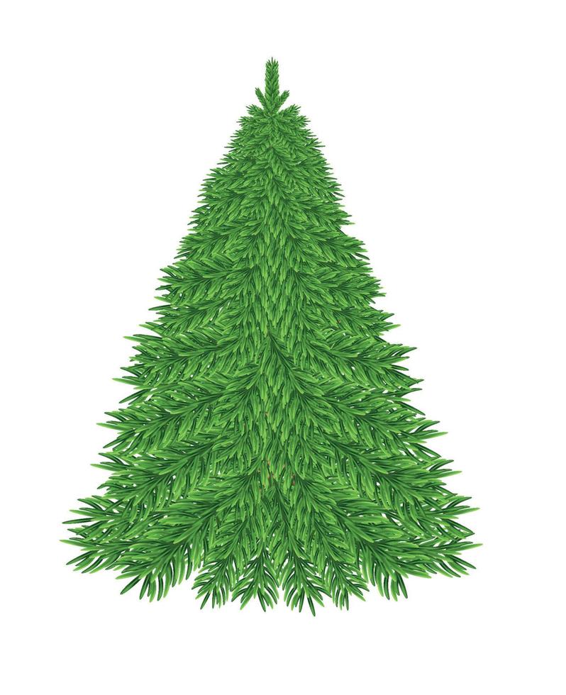 Lush green forest Christmas tree in full frame, full length. On a transparent background, vector illustration in 10EPS format, no raster