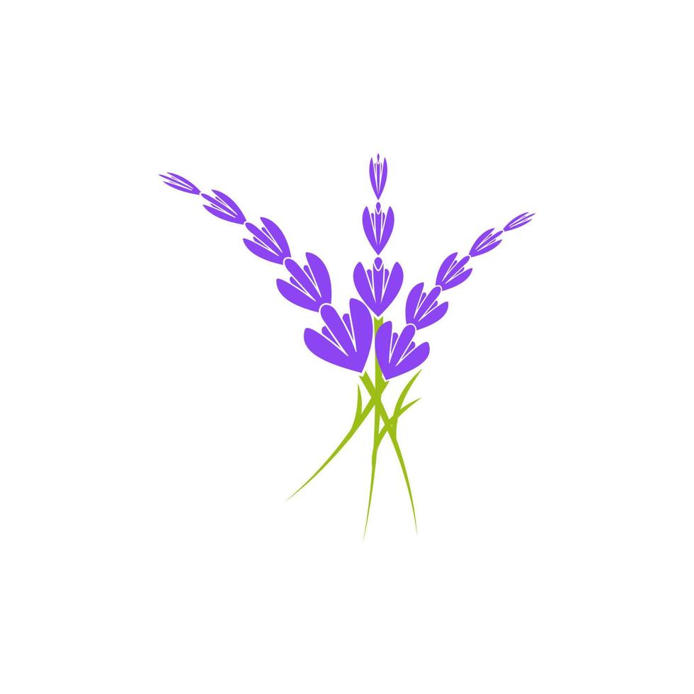 ilustración de icono de vector de flor de lavanda