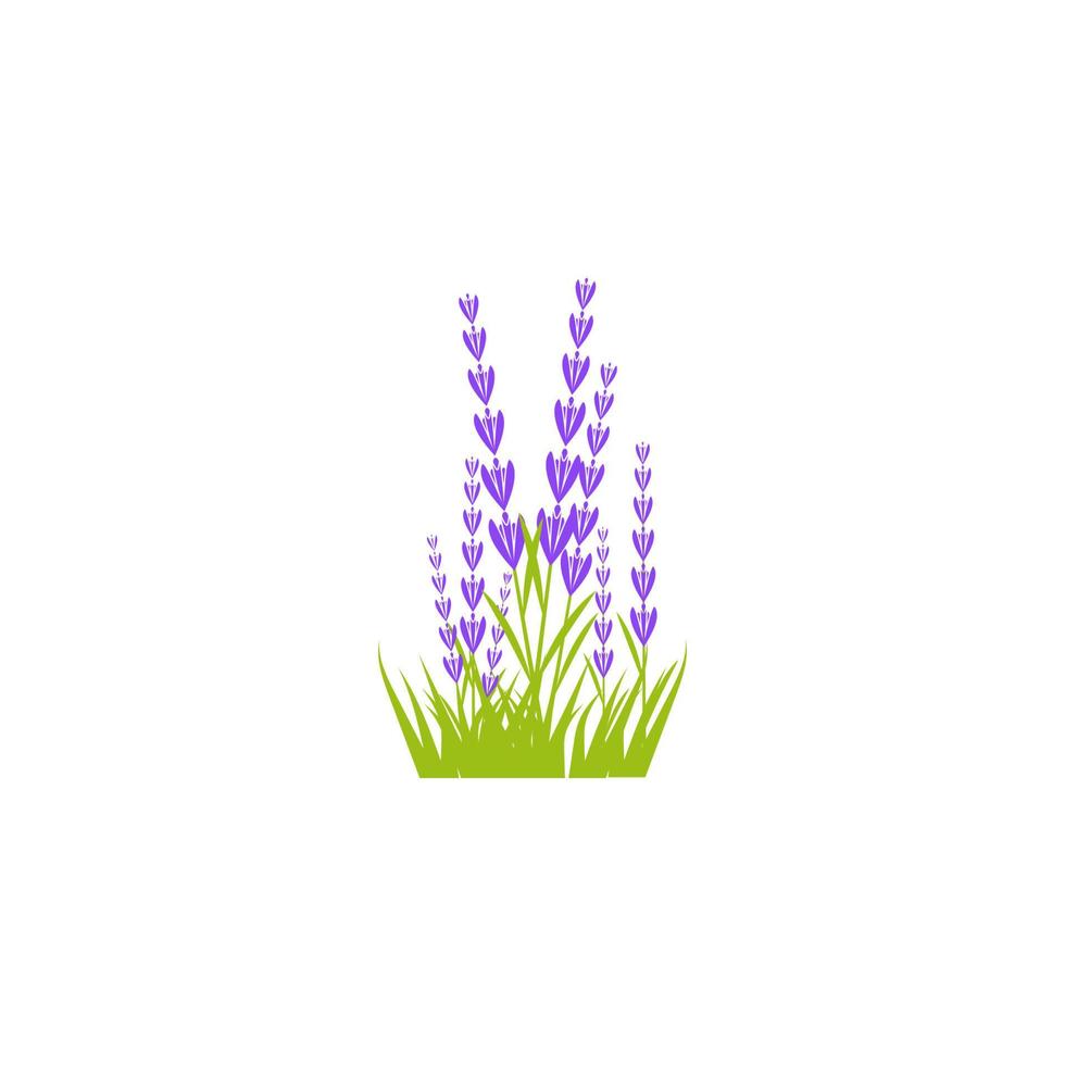 Lavender flower Vector icon illustration