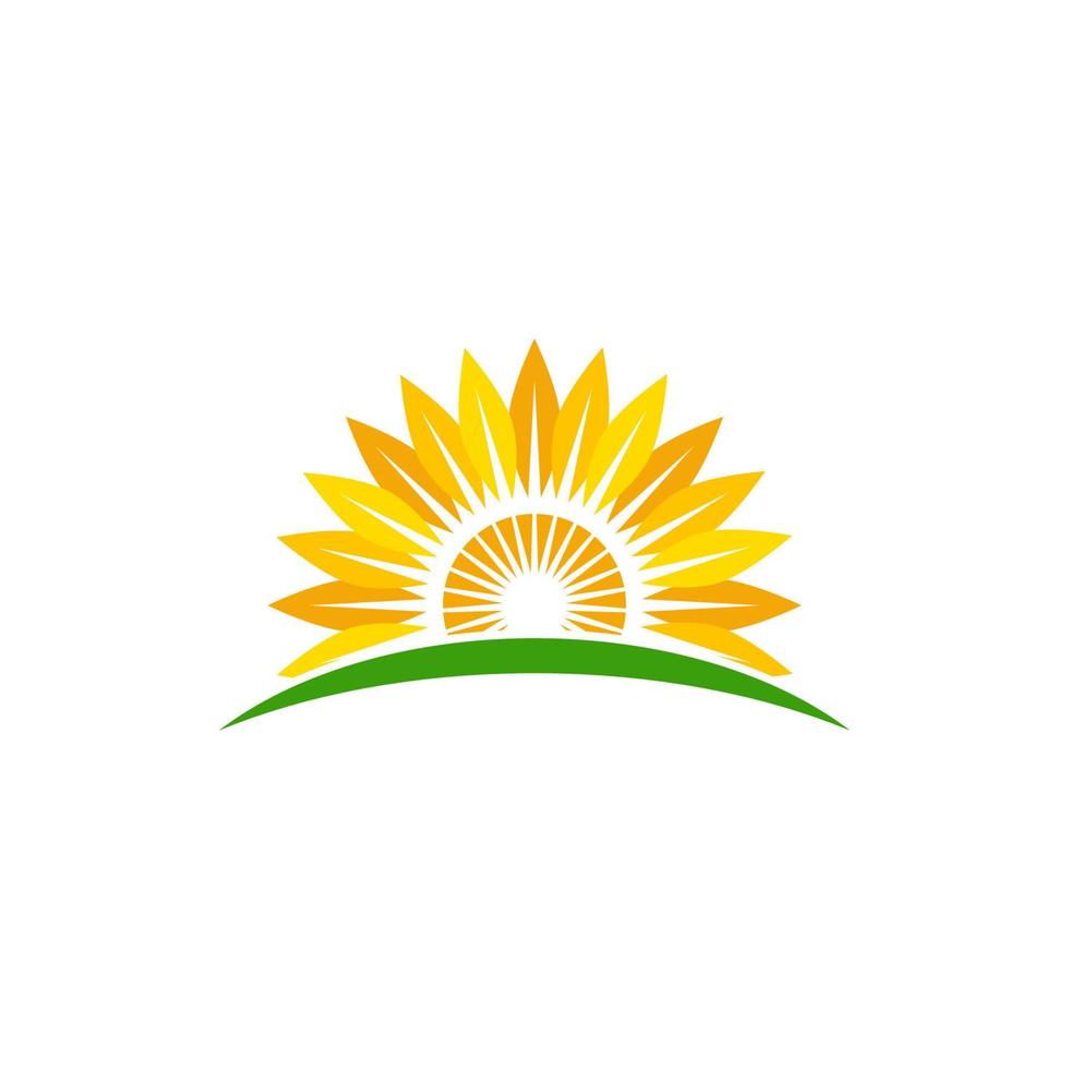 sunflower vector icon design