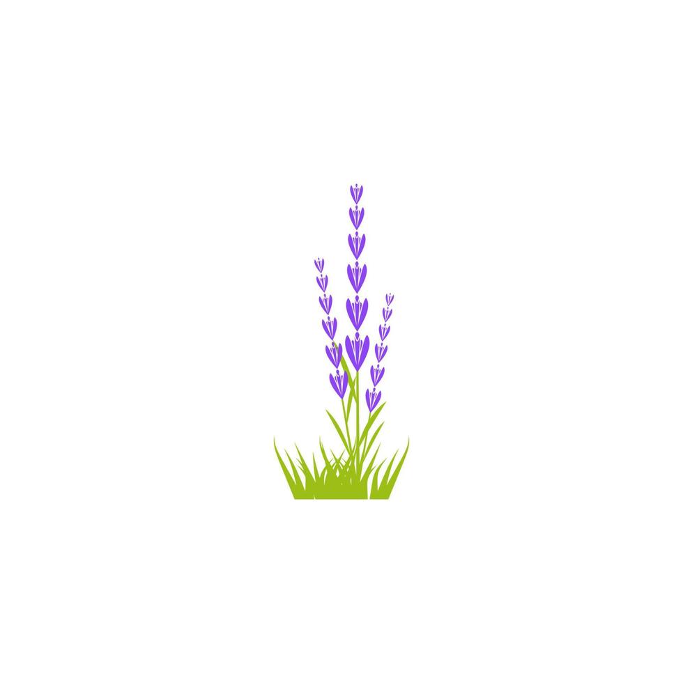ilustración de icono de vector de flor de lavanda