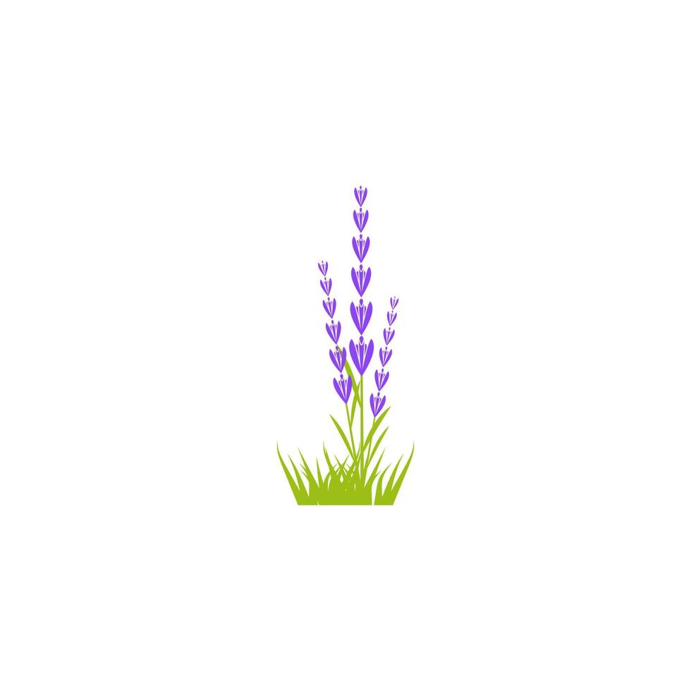 Lavender flower Vector icon illustration