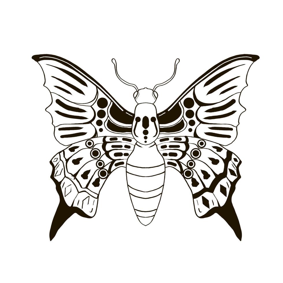 Hand Drawn Coloring Book Insects Bug vector illustrations, drawing, engraving, ink, line art.