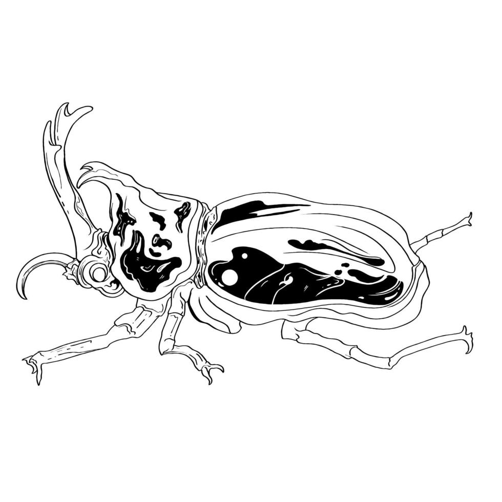 Hand Drawn Coloring Book Insects Bug vector illustrations, drawing, engraving, ink, line art.